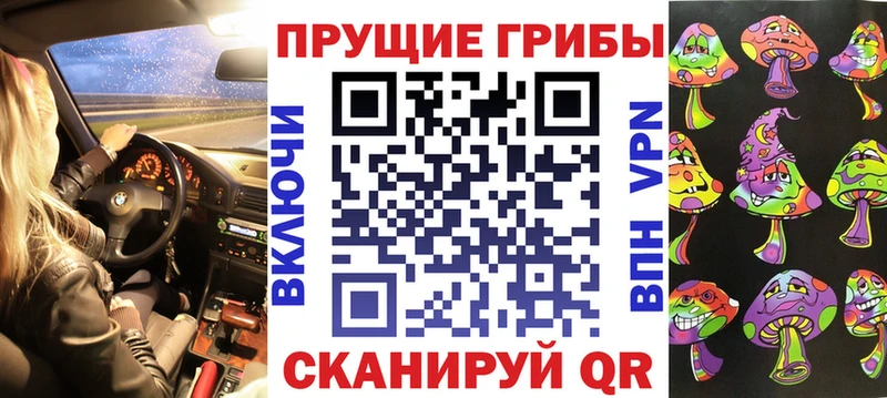 Купить закладки  Стерлитамак  Галлюциногенные грибы MAGIC MUSHROOMS 